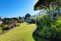 green landscape management Mountain House photo