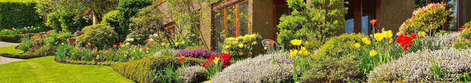 green landscape management Mountain House photo