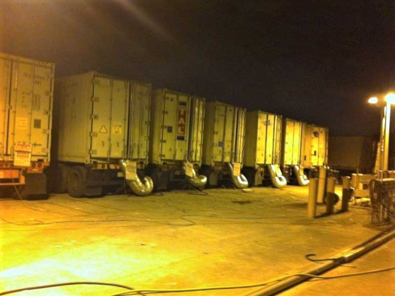 emergency bee removal in Miami photo