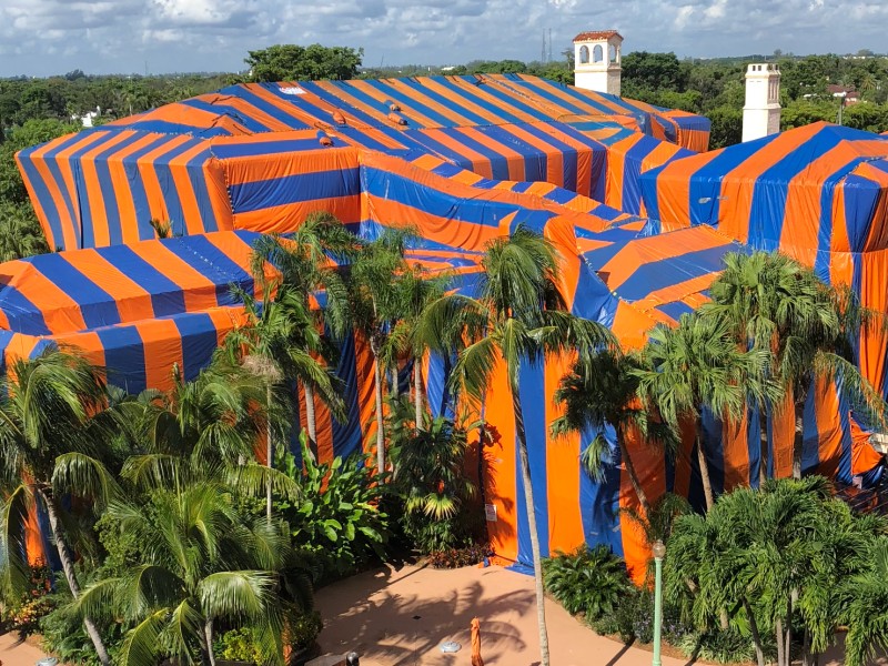 emergency bee removal in Miami photo