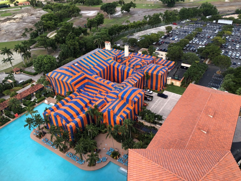 emergency bee removal in Miami photo