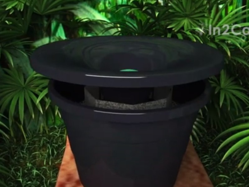 emergency bee removal in Miami photo