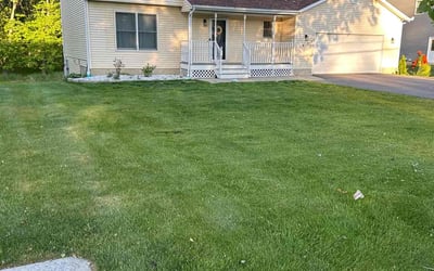 best lawn care service in San Antonio photo