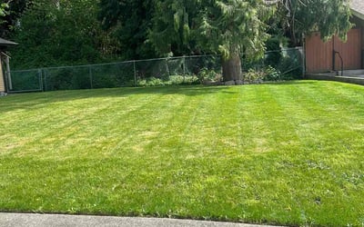 trusted lawn pros Chicago, IL photo