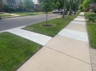 trusted lawn pros Chicago, IL photo