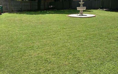 best lawn care service in San Antonio photo