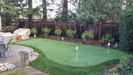 low maintenance lawn San Jose photo