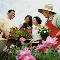 local nursery San Antonio