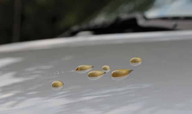 mobile detailer San Jose photo