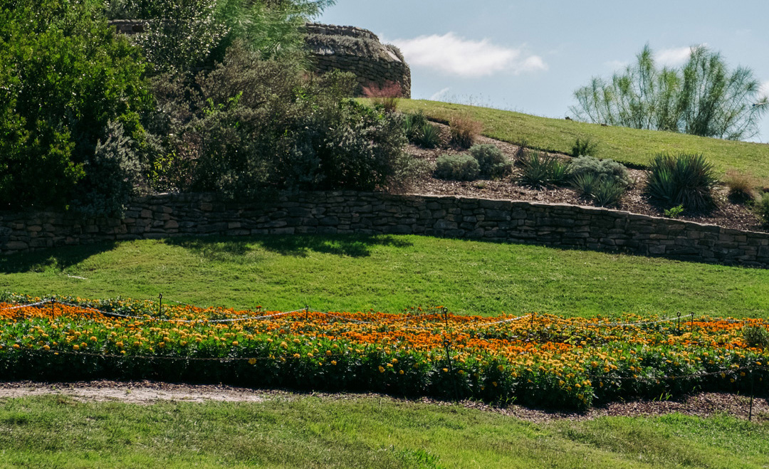 Lucile Halsell Conservatory San Antonio