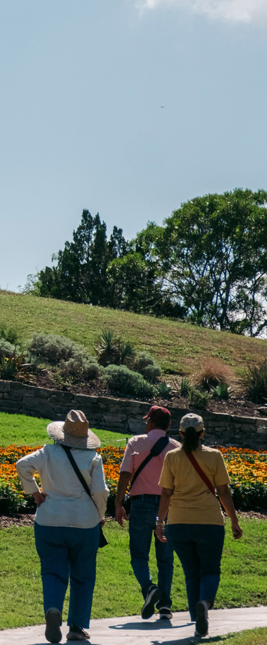 educational programs San Antonio gardens photo