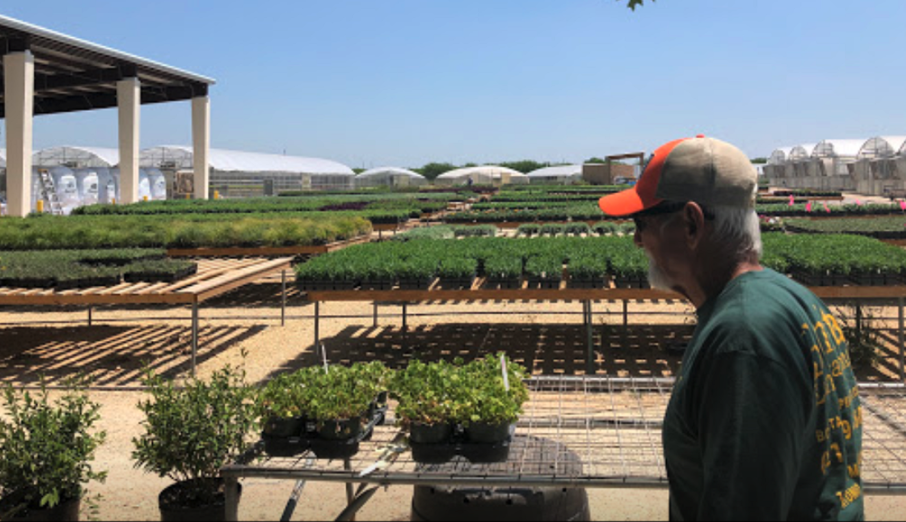 reliable landscaping company near me photo