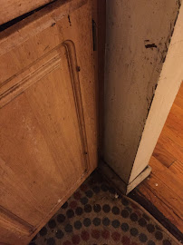 exterminator near me photo