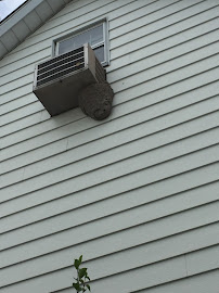 exterminator near me photo