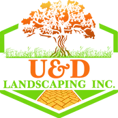 drainage solutions San Jose photo