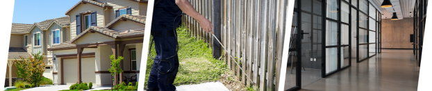 affordable pest control near me photo