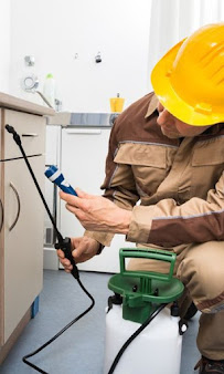 flea and tick control Campbell photo