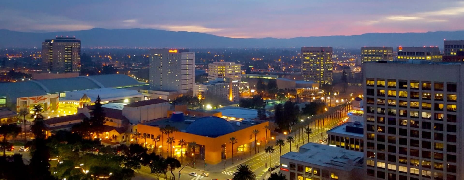 flea and tick control Campbell photo