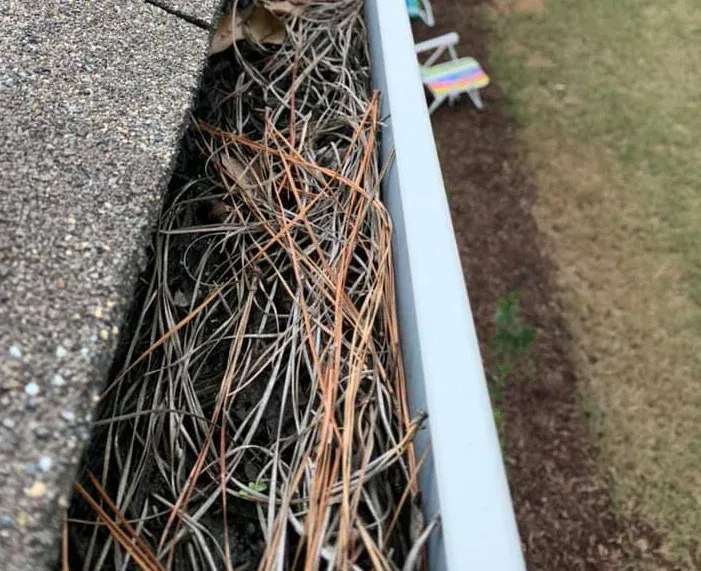 window cleaning West Houston photo