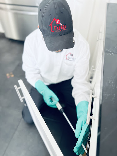 rodent control San Jose photo