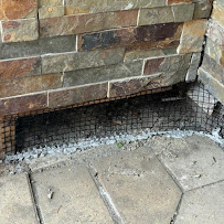 rodent control San Jose photo