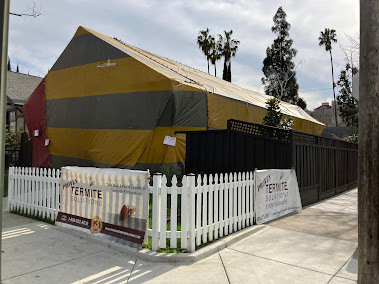 soil injection termite treatment San Jose photo