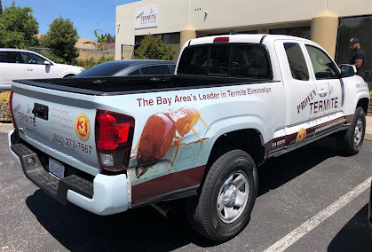 soil injection termite treatment San Jose photo