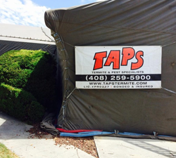 termite pest control Bay Area photo