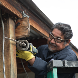 termite pest control Bay Area photo