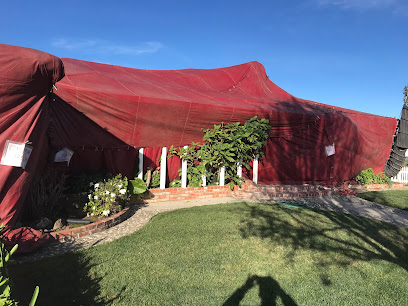 termite pest control Bay Area photo