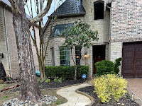 professional soft wash service Dallas photo