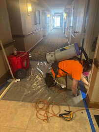 best mold removal in Mold Exterminators