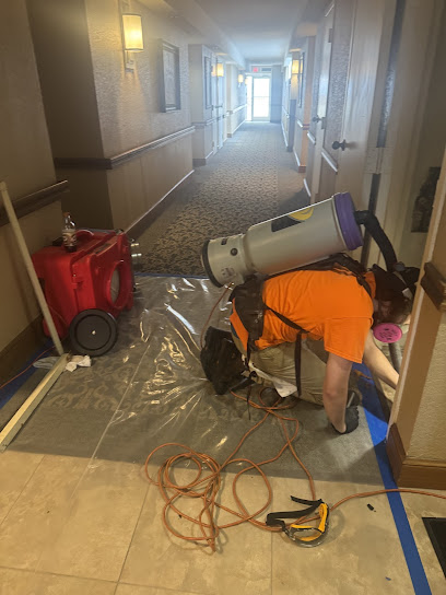 best mold removal in Mold Exterminators photo