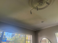 best mold removal in Mold Exterminators photo