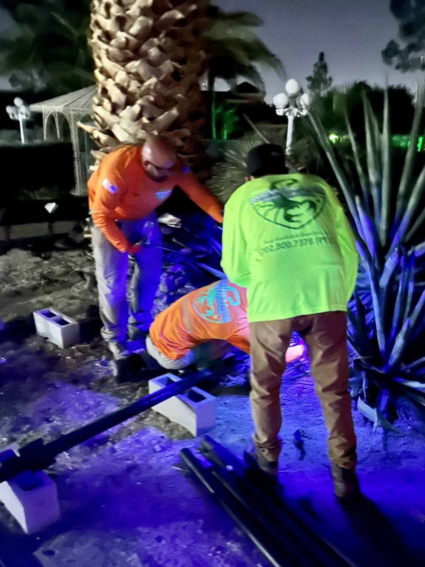 ant control in Centennial Hills photo
