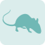 best pest control distributor in Harlingen photo