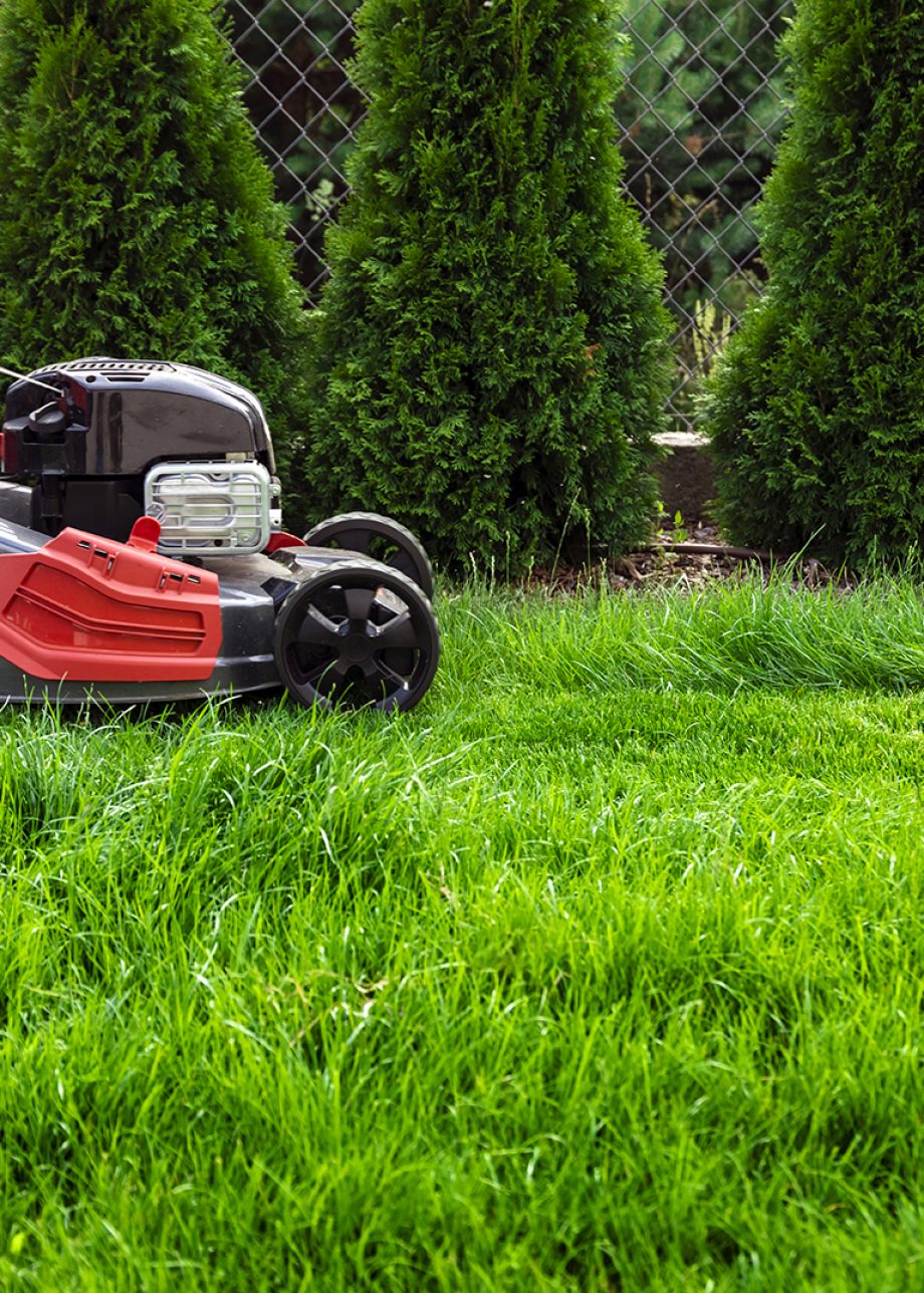 lawn aeration Long Island photo