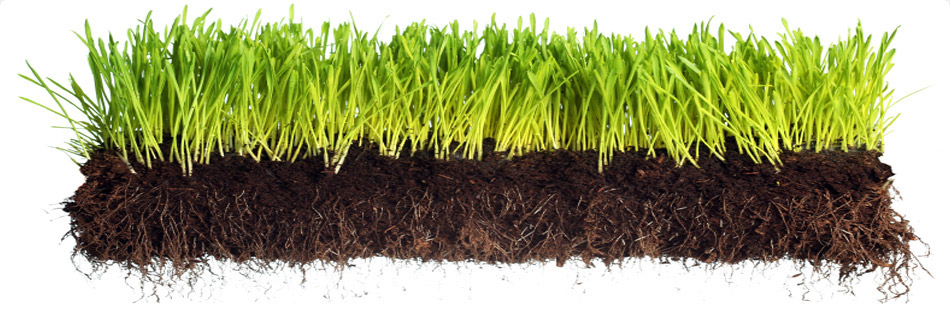 lawn aeration Long Island photo