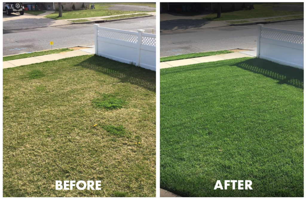 lawn aeration Long Island photo