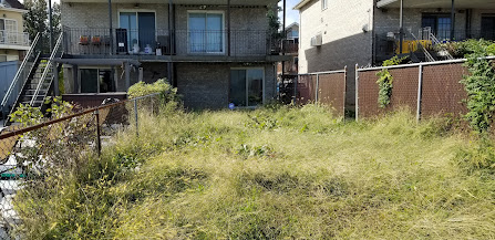 24 hour tree removal near me photo