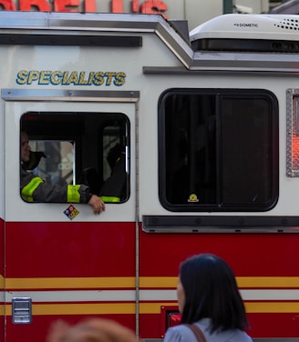 quick mold remediation New York City