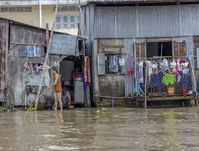 quick mold remediation New York City photo