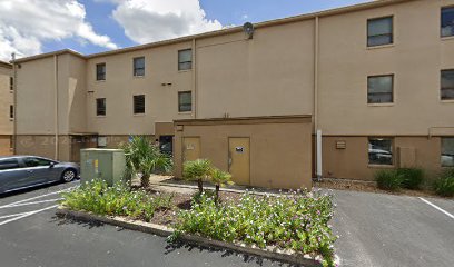 quick mold remediation New York City photo