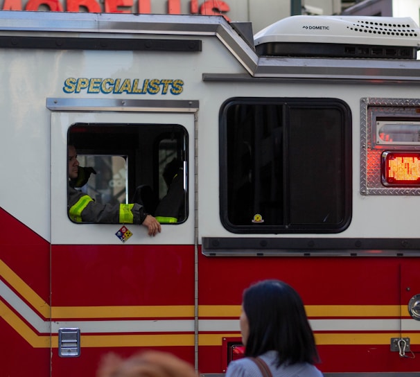 quick mold remediation New York City photo