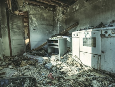 quick mold remediation New York City photo