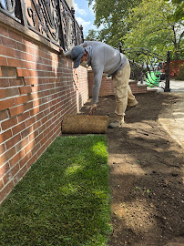 landscape design and construction Queens