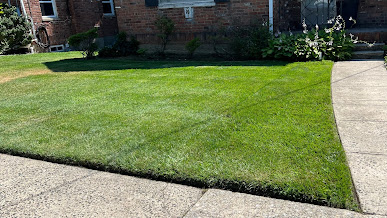 snow removal Flushing NY photo