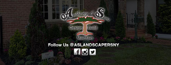 professional arborist services Queens NY