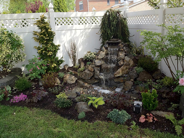 mature tree transplant Flushing photo