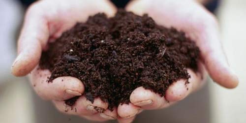 hardscape design near me photo